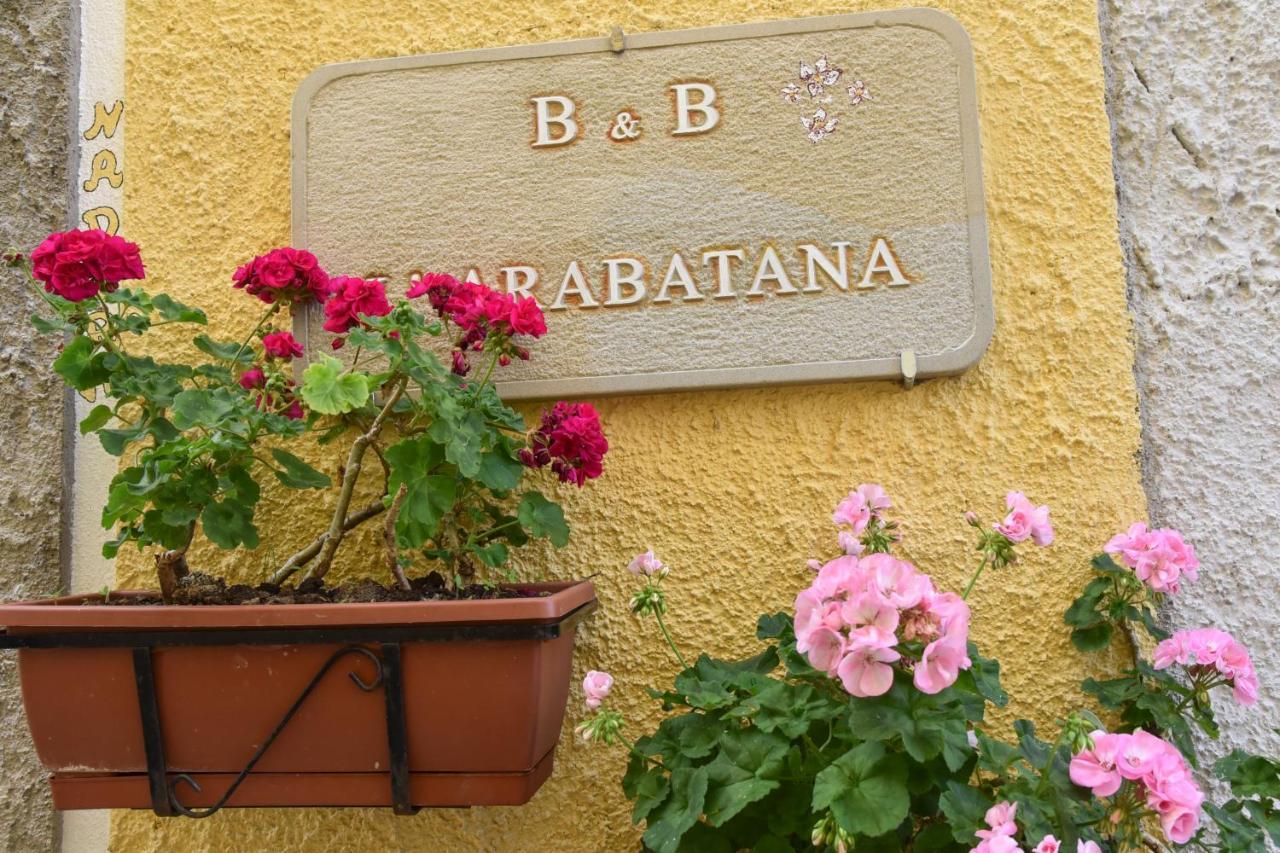 B&B L'Arabatana Pietrapertosa Bagian luar foto