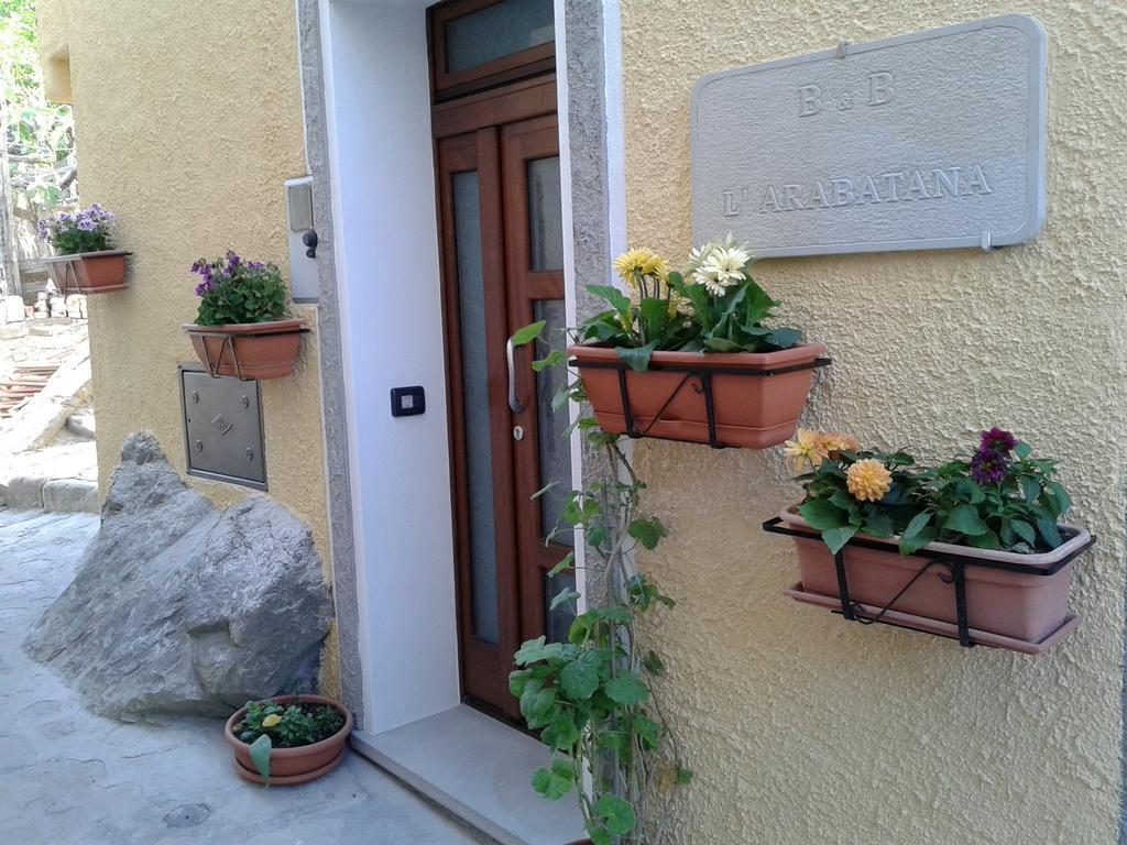 B&B L'Arabatana Pietrapertosa Bagian luar foto