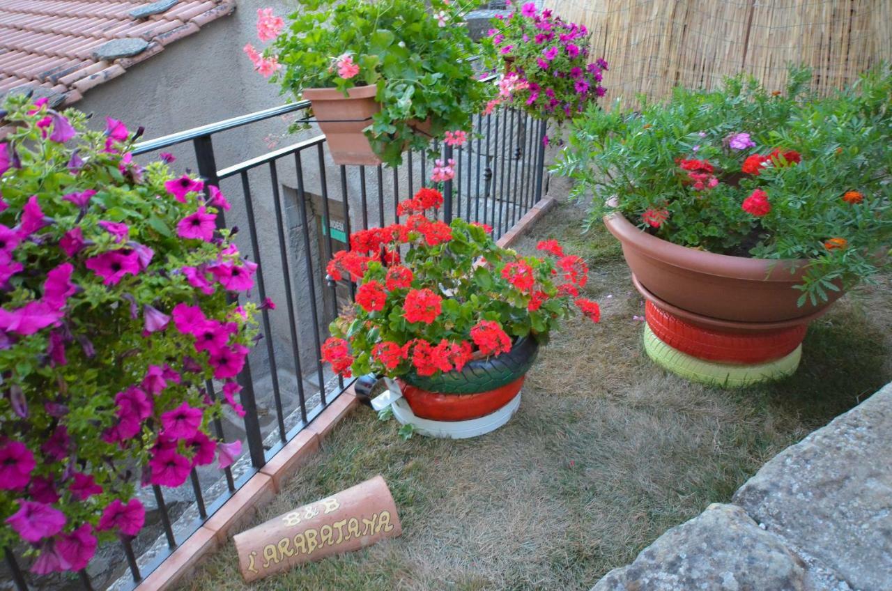 B&B L'Arabatana Pietrapertosa Bagian luar foto